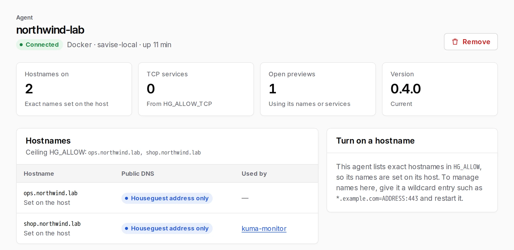 An agent's page: Connected, its version marked Current, and the hostnames it forwards with the preview using each
